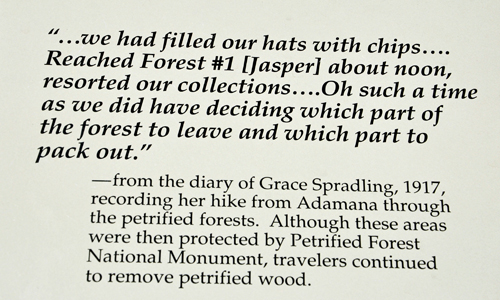sign about Jasper Forest in the Petrified Forest